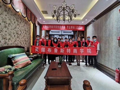 布魯斯特 專業(yè)幫扶助力終端，攜手經(jīng)銷商共贏工藝品未來