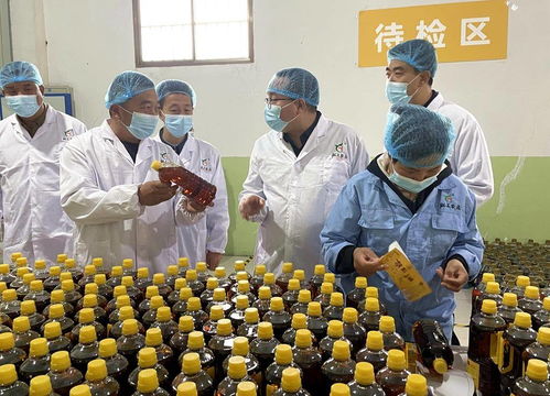 天津市甘肅商會(huì)赴武山縣考察，共探農(nóng)產(chǎn)品與工藝品產(chǎn)銷合作新機(jī)遇